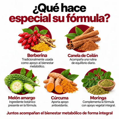 Nueva Fórmula | Apoyo Natural para la Glucosa, Energía y Antojos
